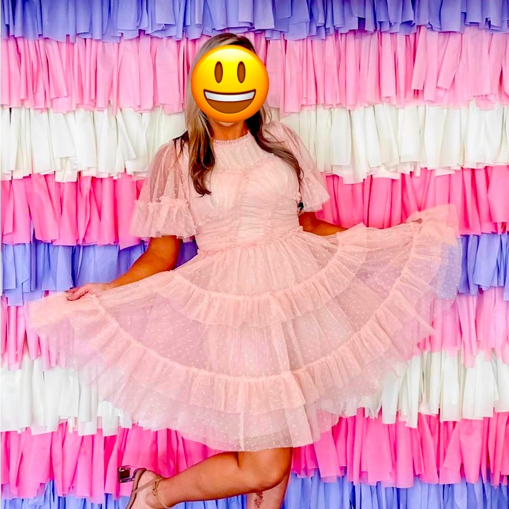 Ivy City Co Dress Whimsical Blush Ruffle Dress Size L
